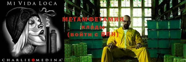 хмурый Пересвет