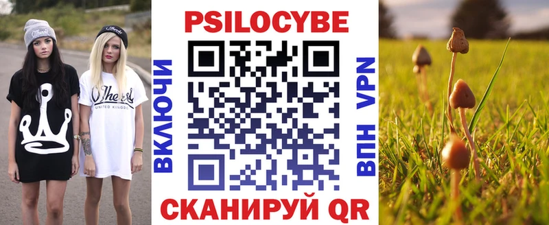 купить наркотики цена  Всеволожск  площадка состав  Псилоцибиновые грибы Cubensis 